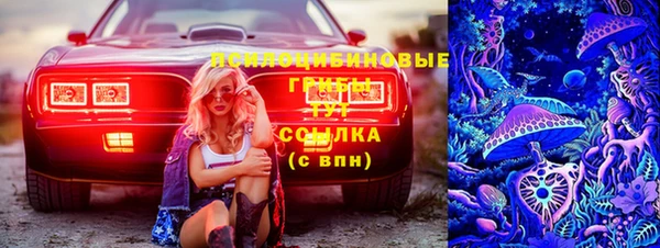 apvp Надым