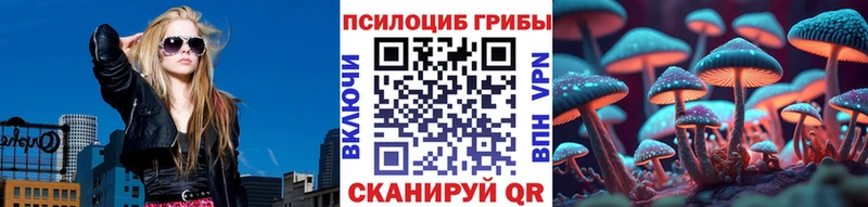 цена наркотик  Александровск-Сахалинский  Псилоцибиновые грибы GOLDEN TEACHER 